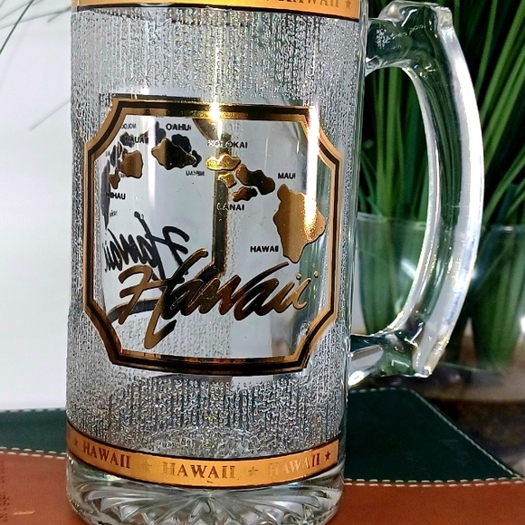 Other - Hawaii Frosted Glass Stien